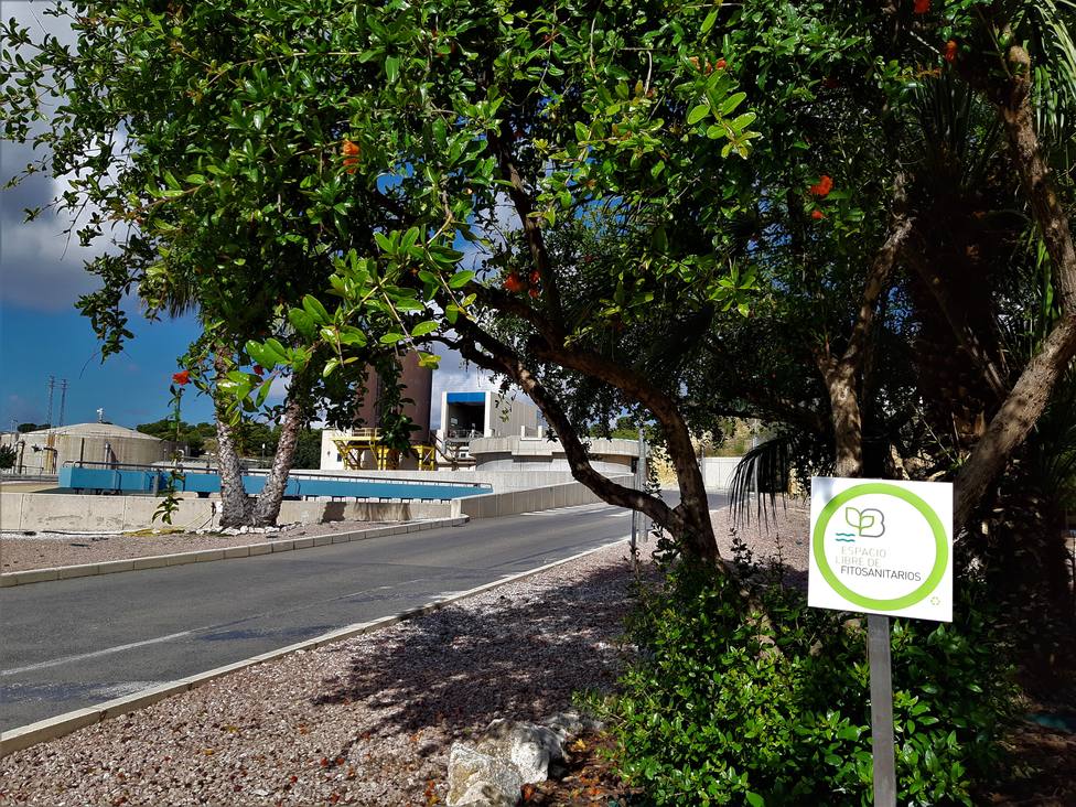 Mantenimiento ecológico en el 100% de las instalaciones de Aguas de Alicante