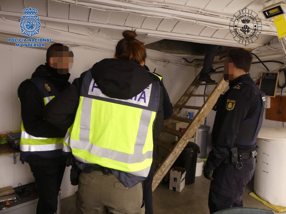 La Policía Nacional desmantela un laboratorio subterráneo de marihuana en una masía de la provincia de Girona