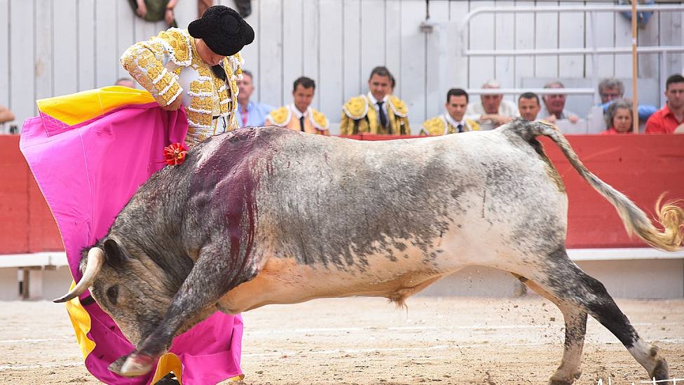 Chicuelina de Roca Rey a Hornero el toro de La Quinta premiado con la vuelta al ruedo en Arles