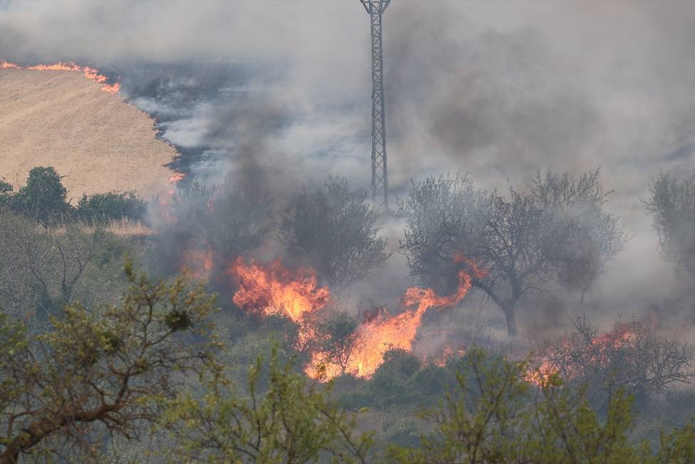 Estabilizado el incendio forestal de Añón del Moncayo (Zaragoza)