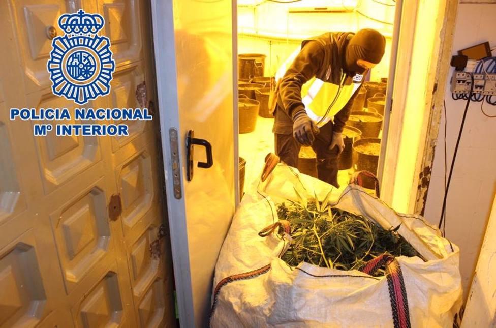 Granada.- Sucesos.- Intervenidas 6.000 plantas de marihuana en una nueva operaciÃ³n policial en el Hotel Luz