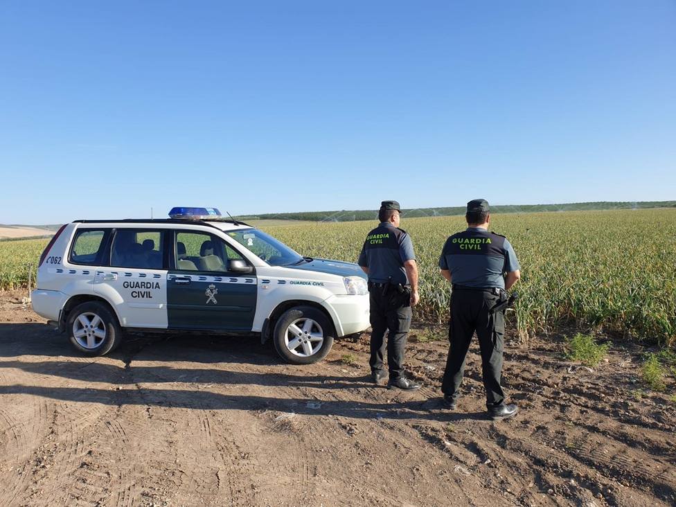 Guardia Civil intensifica sus servicios para evitar robos y hurtos en la campaña del ajo de Córdoba
