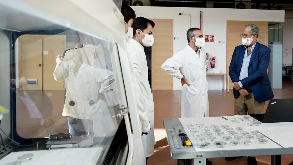 La Comunidad de Madrid lidera un proyecto para generar implantes biodegradables
