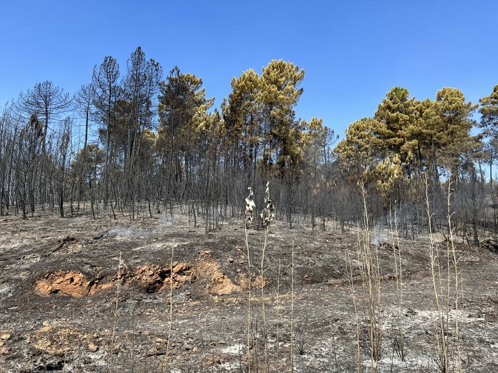 Zona afectada en el incendio declarado en Santibáñez el Alto, en la comarca de Sierra de Gata. JuntaEx