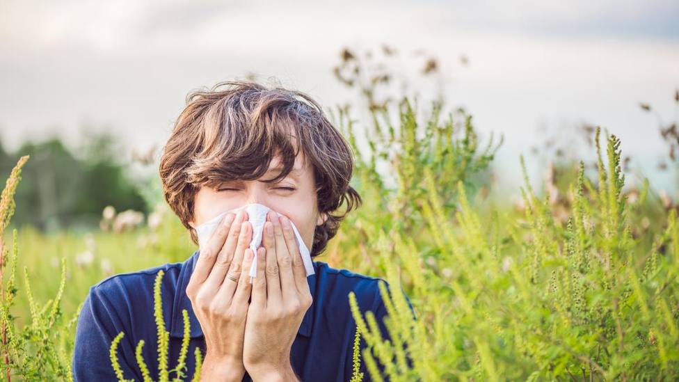 La Comunidad de Madrid refuerza la información que reciben las personas alérgicas sobre los niveles de polen en primavera