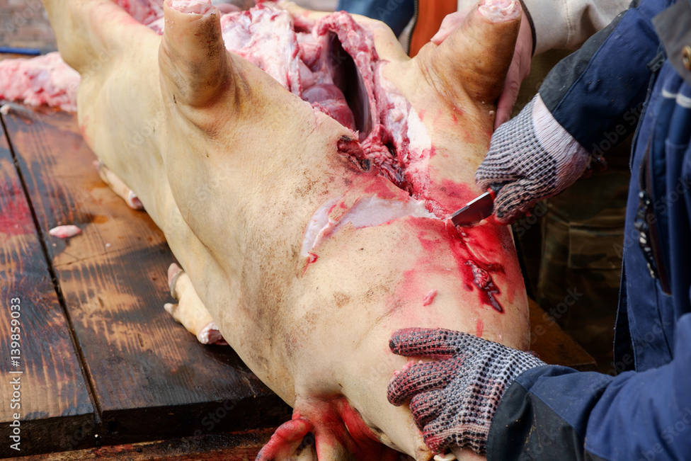 matanza cerdo