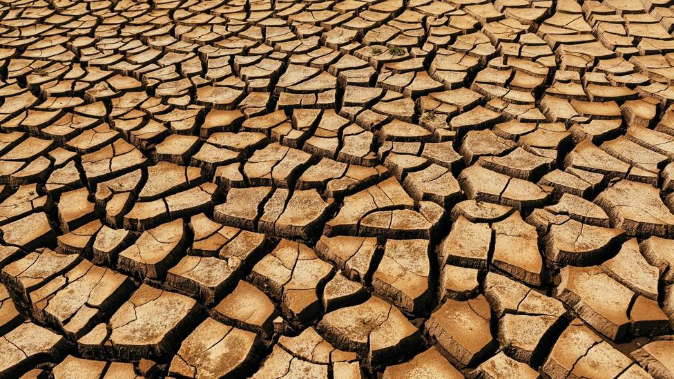 La situación de sequía en España: El campo se enfrenta a una tormenta perfecta