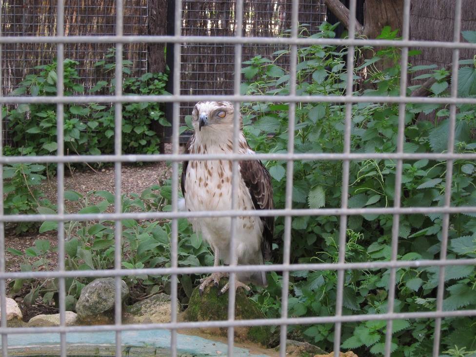 El Zoo Córdoba prolonga hasta septiembre su cierre temporal, como prevención por la gripe aviar