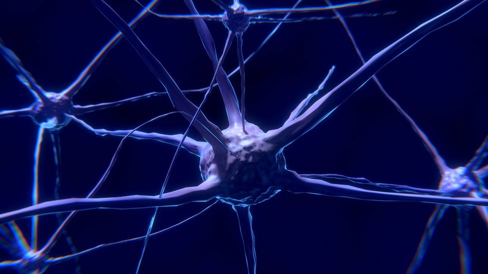 Una investigación desvela una de las razones por la que mueren neuronas en la enfermedad del Párkinson