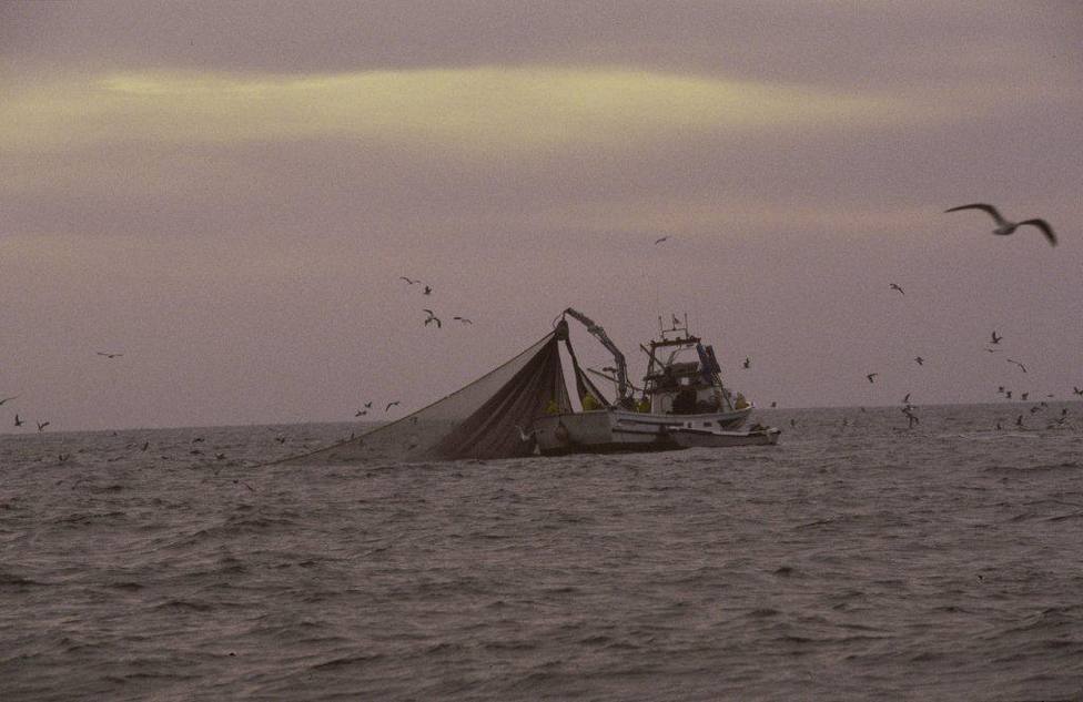 Barco de pesca de cerco del Golfo de Cádiz