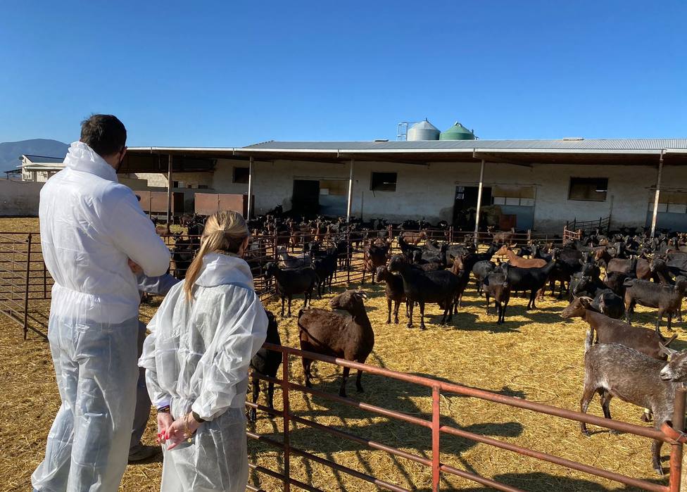 Antelo visita una granja en Lorca para mostrar el apoyo de Vox al sector ganadero