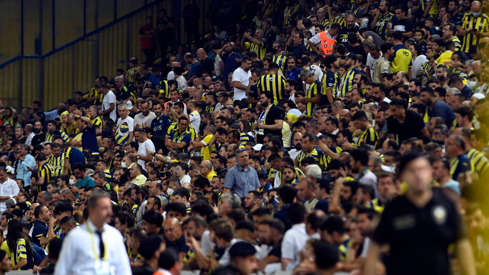 Aficionados del Fenerbahçe