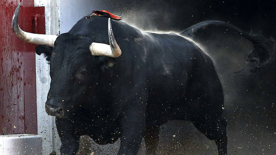 Salida de un toro a la plaza de toros de Pamplona