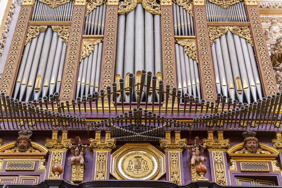 Estos son los instrumentos musicales representados en la Santa Iglesia  Catedral de Córdoba - Córdoba - COPE