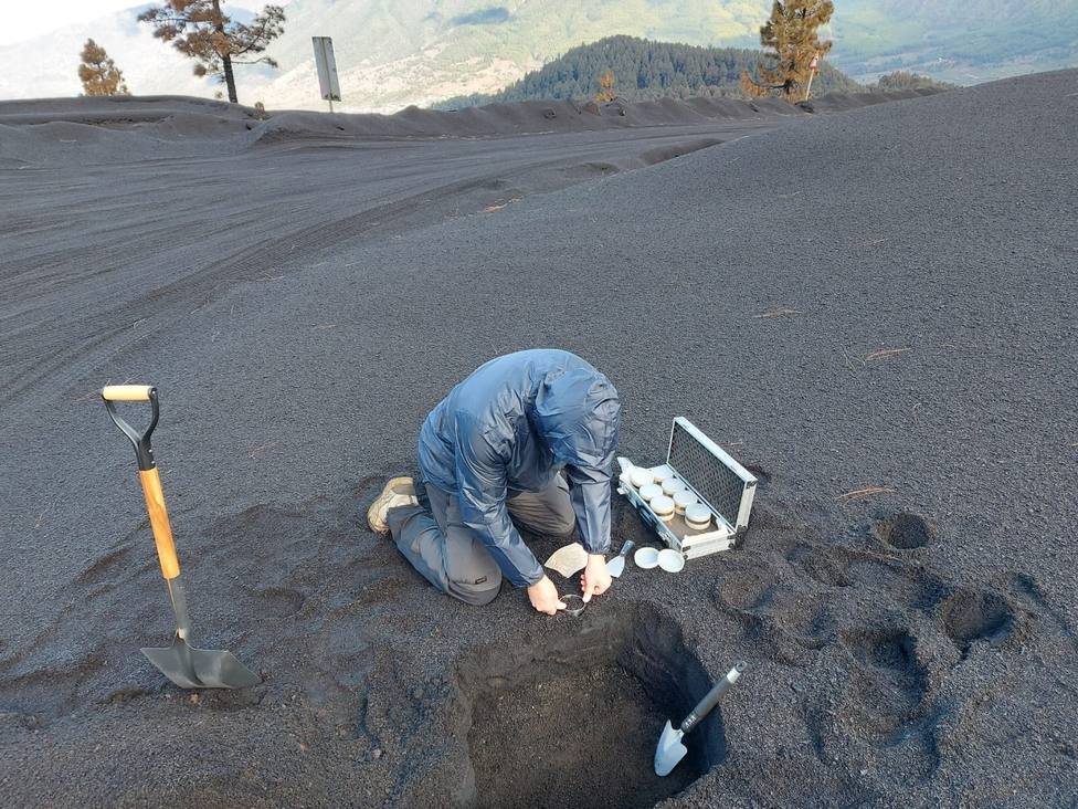 El presidente de Canarias, sobre el volcán: Hay indicios científicos de que pueda acabar antes de fin de año