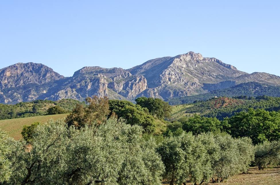 Málaga es el primer destino turístico nacional que mide la huella de carbono que generan los visitantes