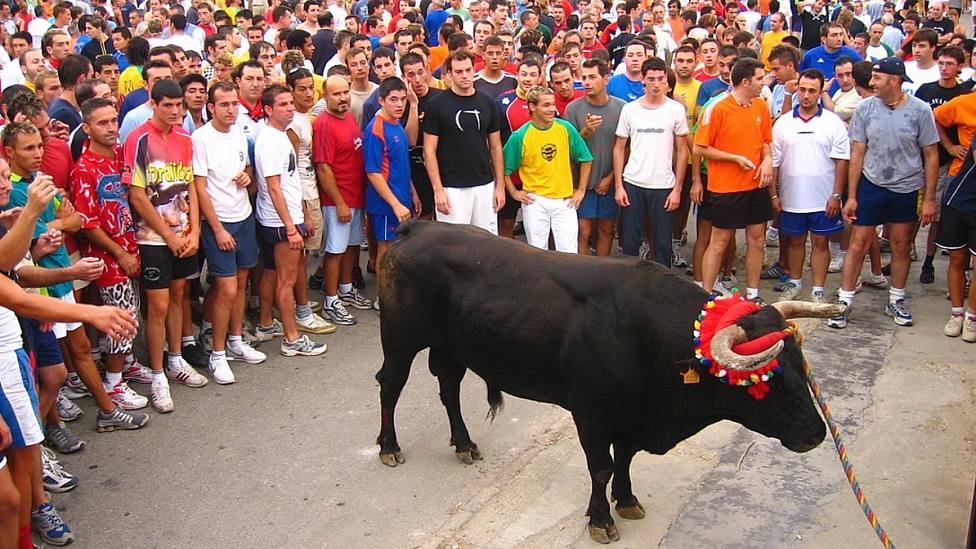 Teruel acogerá el Congreso del Toro de Cuerda cuando la pandemia lo