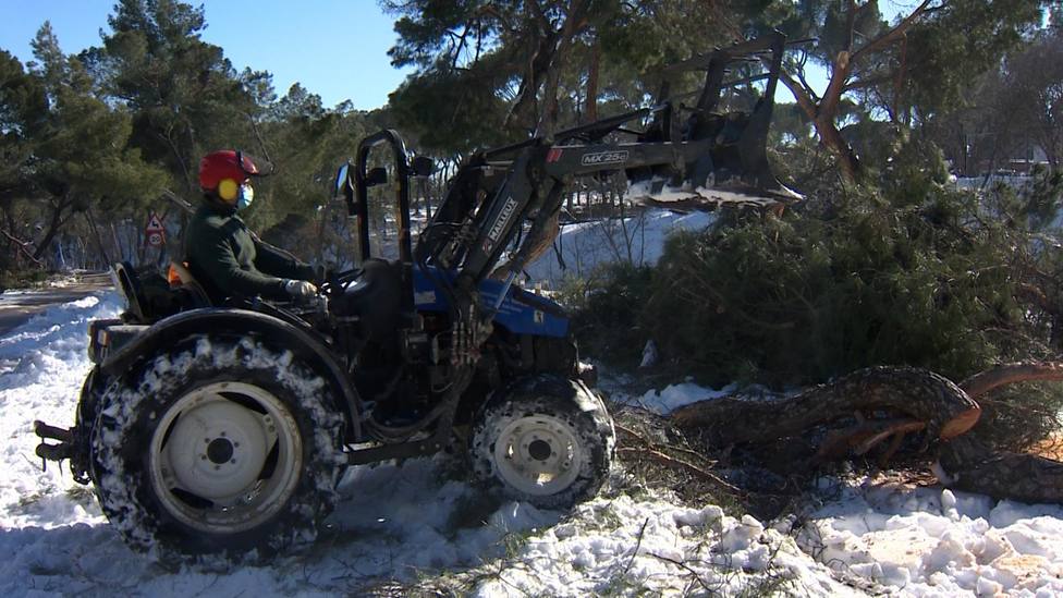 Los Operarios de Madrid retiran los árboles caídos en la Casa de Campo -  Más Madrid - COPE