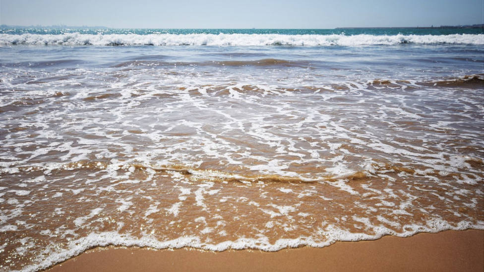 Los bañistas de una playa de Cádiz, sorprendidos por lo que vivieron en sus vacaciones: No es normal