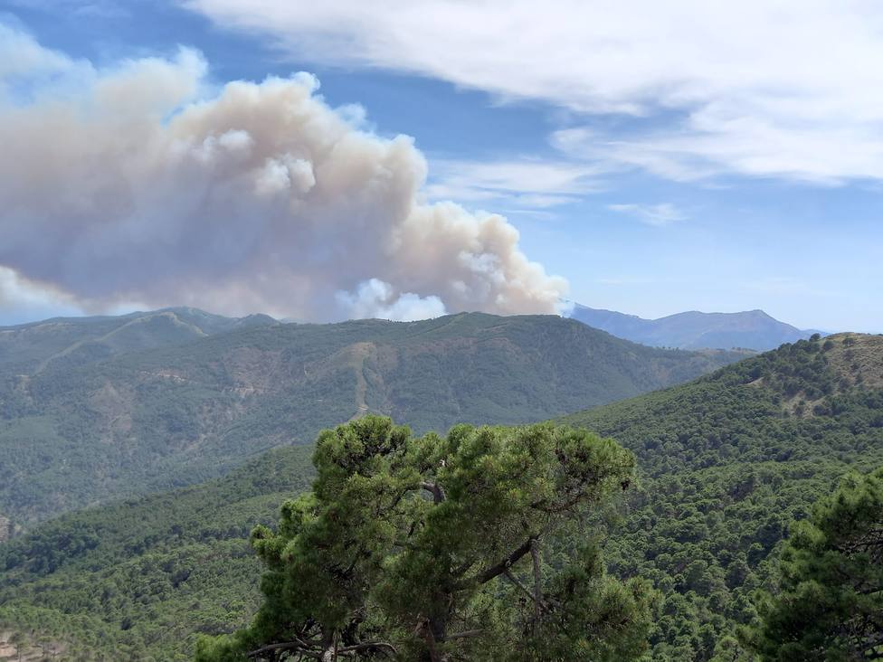 Juanma Moreno sobre una relación entre los dos incendios en Sierra Bermeja: “Llama poderosamente la atención