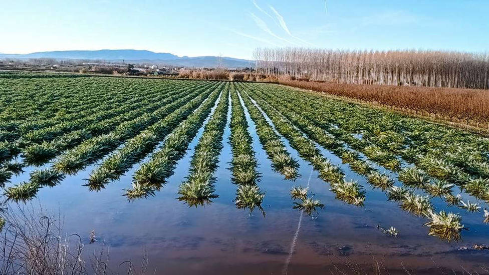 Aplicable Meditativo juego La crecida extraordinaria del río Ebro daña cerca de 700 hectáreas de  cultivos en La Rioja - Logroño - COPE