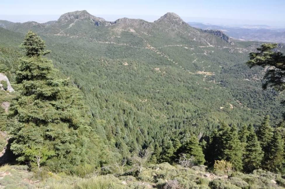 Sierra de Grazalema acoge actividades para celebrar el Día Europeo de los Parques Naturales