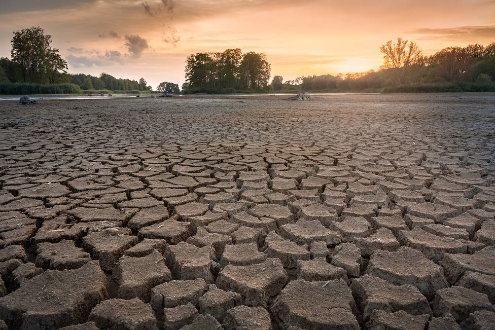 UK asks citizens to reduce water consumption in the face of dry weather – International