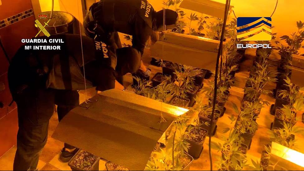 Granada.-Sucesos.- Detenidos 37 integrantes de una red criminal que enviaba cargamentos de hachÃ­s y marihuana a Europa