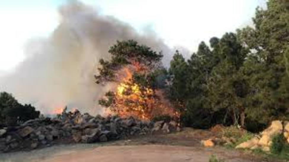 Rebaja a nivel de prealerta por incendios forestales en Canarias