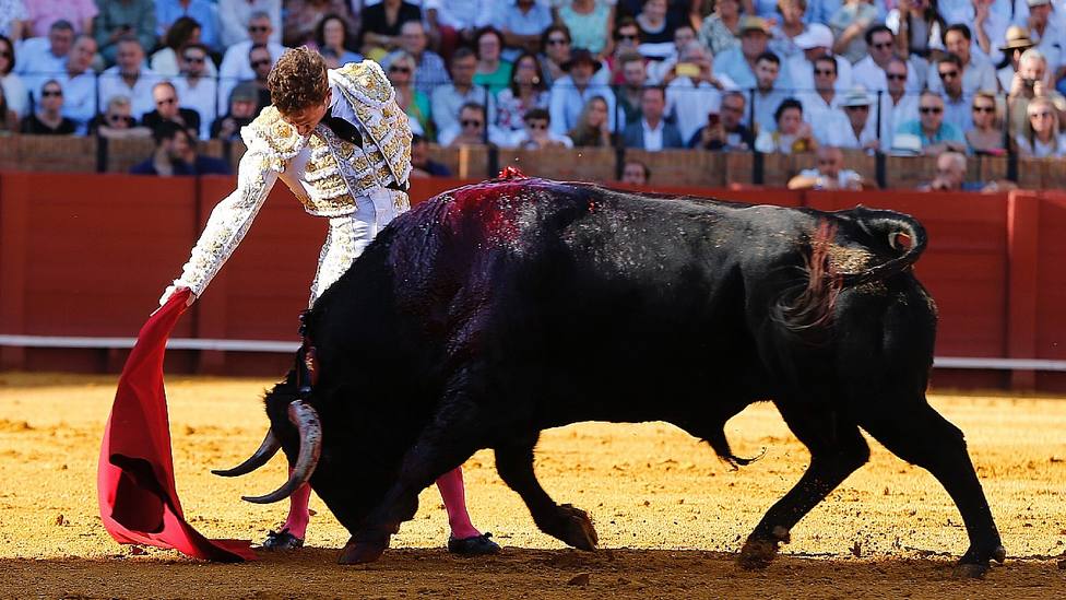 Calerito ante el toro de su alternativa este sábado en la Real Maestranza de Sevilla