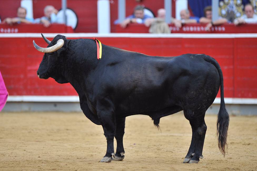 Albacete vuelve a las diez tardes de toros
