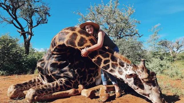 Una mujer mata a una jirafa porque así 