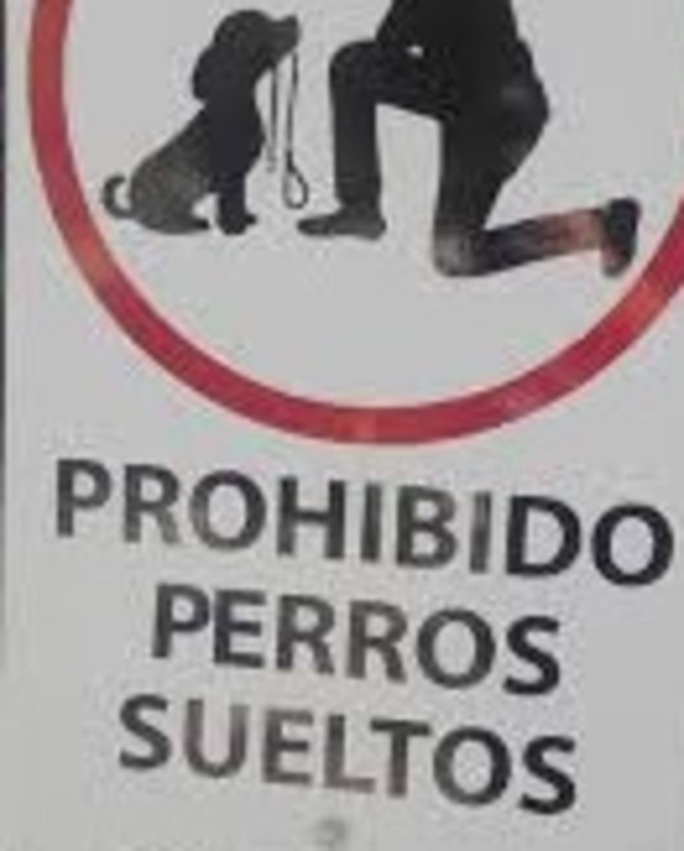 salir flotante Himno Denunciado en Lugo por llevar a seis perros sueltos y "sin control" - Lugo  capital - COPE