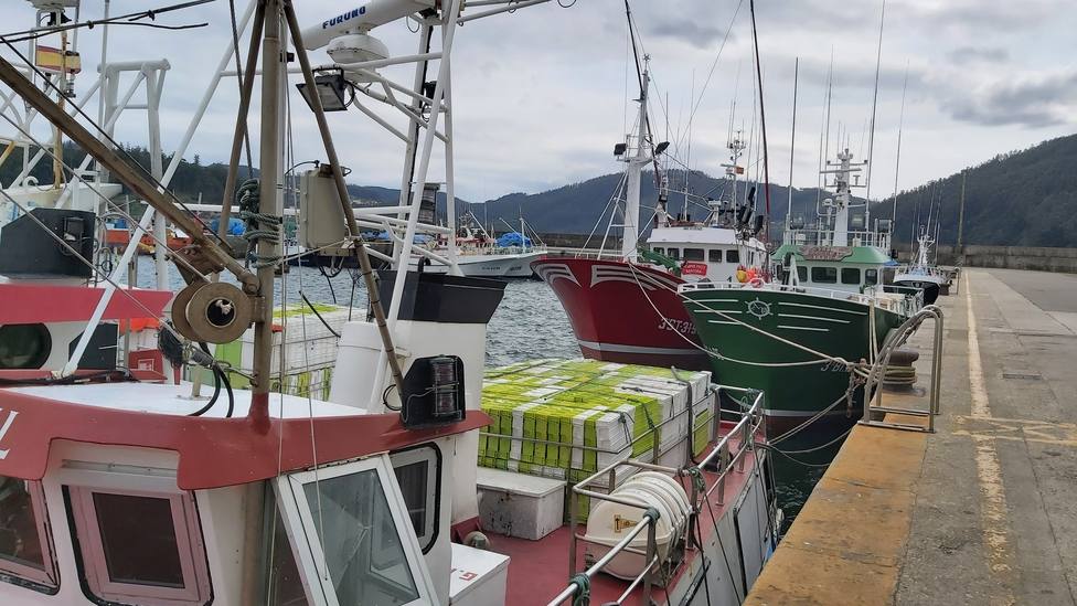 Foto de archivo de varios buques pesqueros atracados en el puerto de Cedeira - FOTO: Cedida
