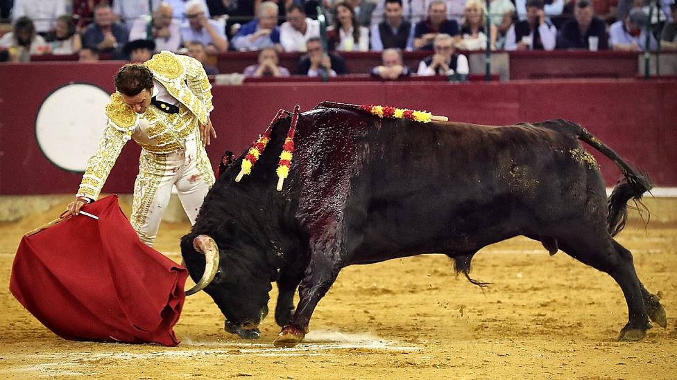 Antonio Ferrera ante “Sospetillo”, el toro de El Pilar premiado con la vuelta al ruedo