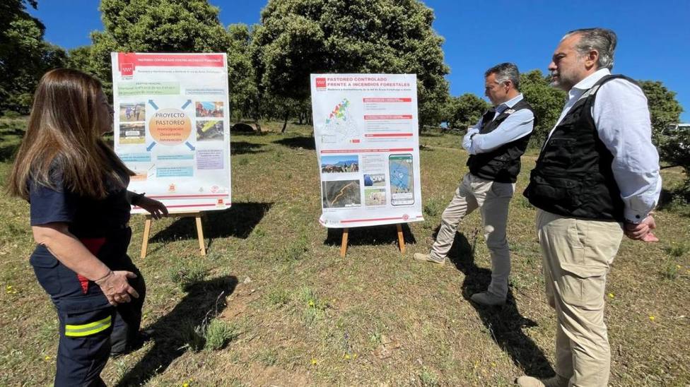 La Comunidad de Madrid ultima un proyecto piloto para las labores de pastoreo controlado en la lucha contra los incendios forestales