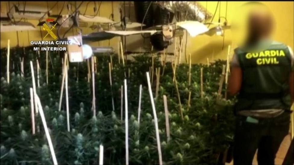 Desmantelada por la Guardia Civil una organización en Granada que distribuía grandes partidas de marihuana