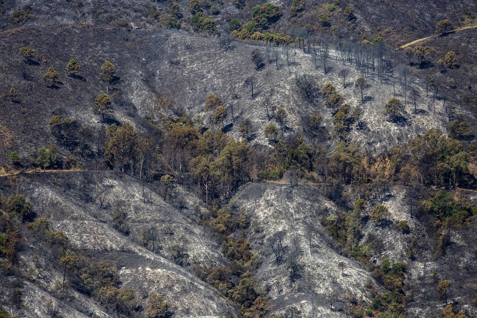 Estabilizado el incendio de Sierra Bermeja con un balance de 3.500 hectáreas afectadas