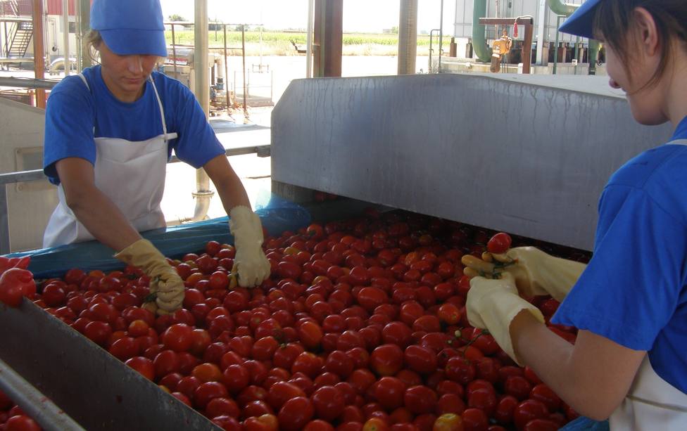 Trabajadoras en una cooperativa. Cooperativas Agro Alimentarias Extremadura