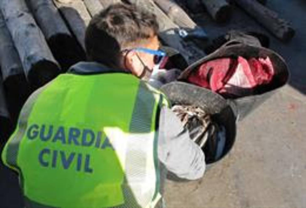 La Guardia Civil investiga a dos personas por pescar atún rojo en época de veda en Tarragona