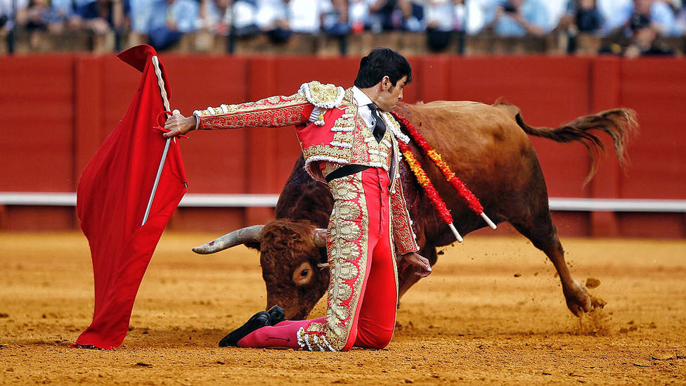 Así inició su faena Perera a Aperador, el toro de Santiago Domecq premiado con la vuelta al ruedo