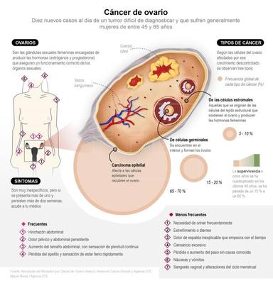 Cancer epitelial sintomas, Subiecte în Health Cancer epitelial de ovario