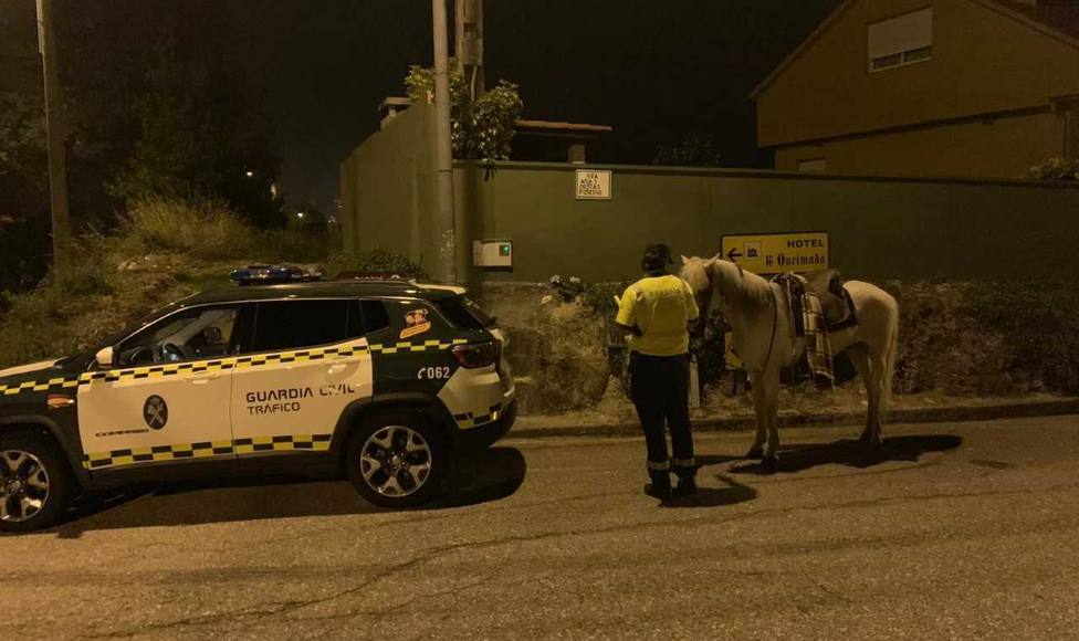 Da Positivo En Un Control De Alcoholemia A Lomos De Su Caballo Vigo Cope