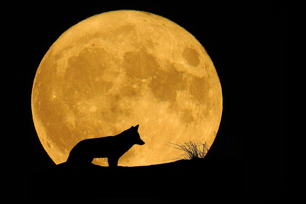 Hoy veremos el primer eclipse del año 2020, y coincidirá con la 'Luna del  Lobo', ¿sabes qué significa? - Extremadura - COPE