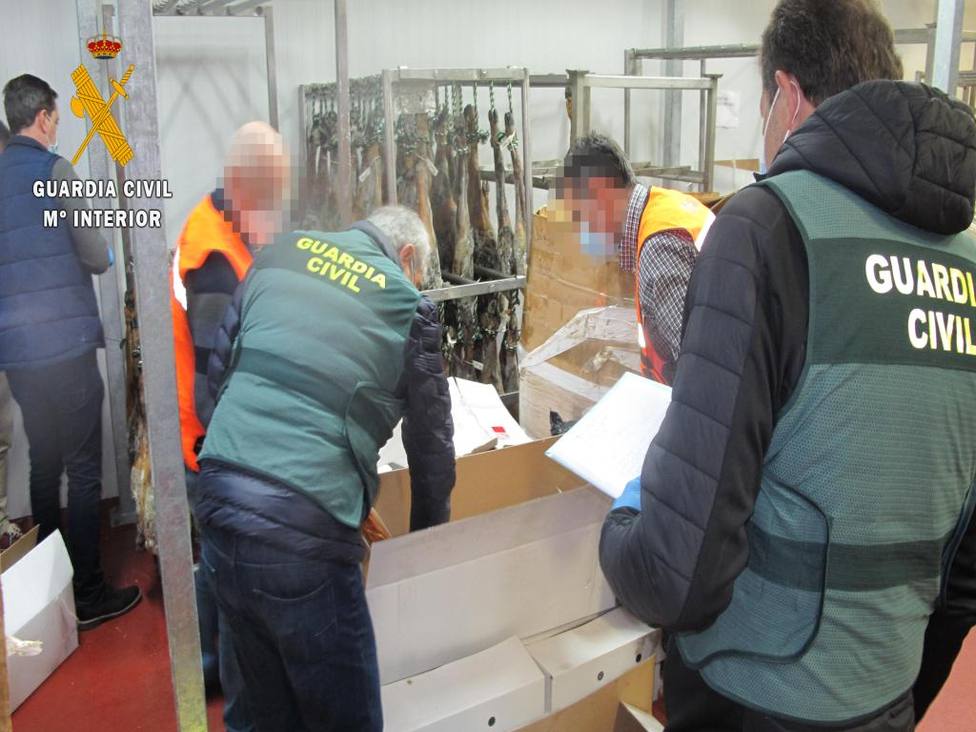 La Guardia Civil intervine cerca de 2.000 piezas de jamones y paletas en una operación contra el fraude alimentario en la provincia de Cáceres