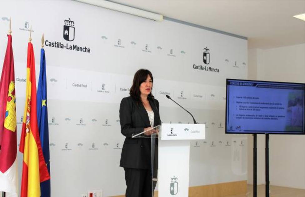 El Gobierno de Castilla-La Mancha aprueba un gasto de 17 millones en materia de protección y atención a la infancia y las familias