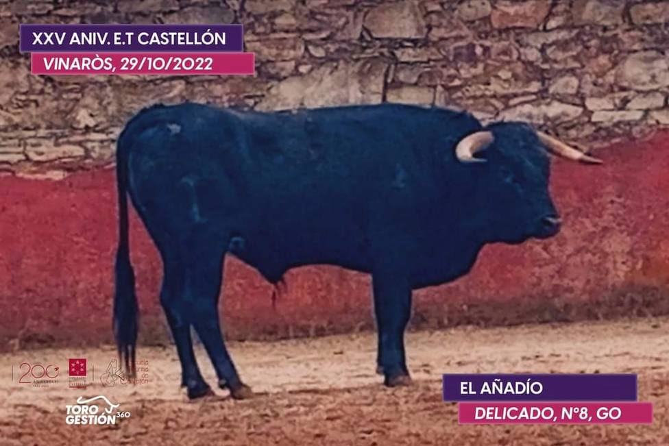 Dos ganaderos primera división, este fin de semana en Vinaròs Castellón - COPE