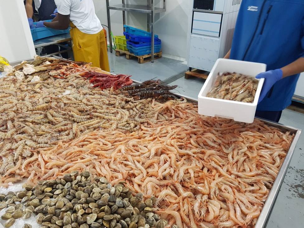 Récord de exportaciones andaluzas de pescados y mariscos: alcanzan los 170 millones