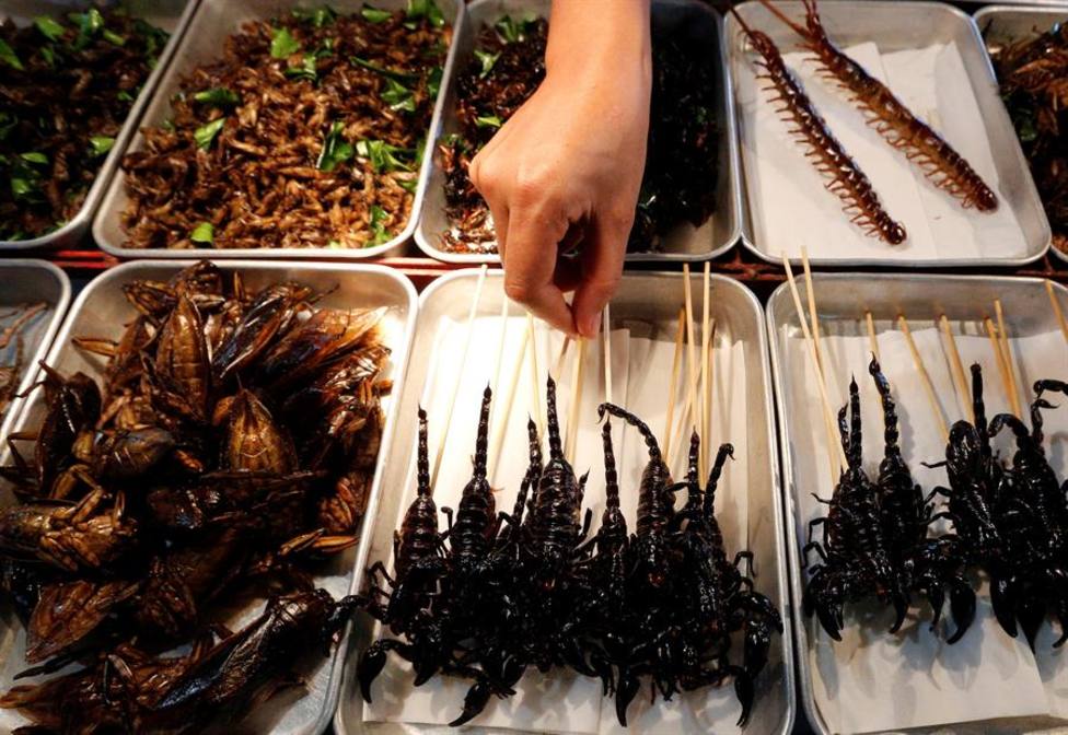 Varios insectos que se venden como alimento en un mercado
