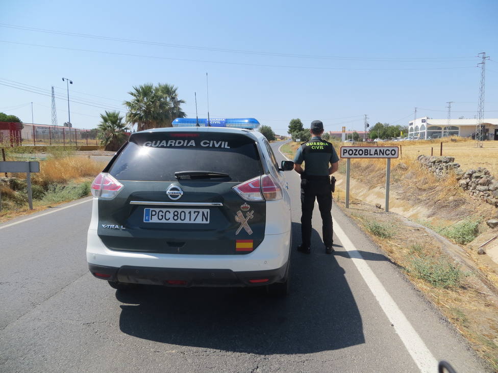Dos investigados por el robo de piñas en la provincia de Córdoba